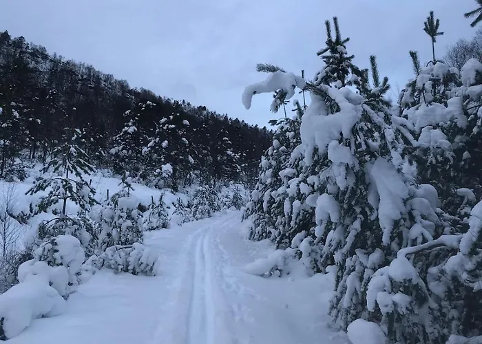 House Vindafjord Norway בית נופש
