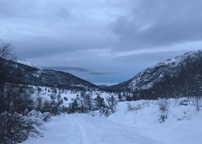 בית נופש House Vindafjord Norway